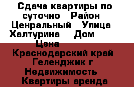 Сдача квартиры по суточно › Район ­ Ценральный › Улица ­ Халтурина  › Дом ­ 30 › Цена ­ 1 000 - Краснодарский край, Геленджик г. Недвижимость » Квартиры аренда посуточно   
